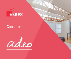 Cas client Adeo.png